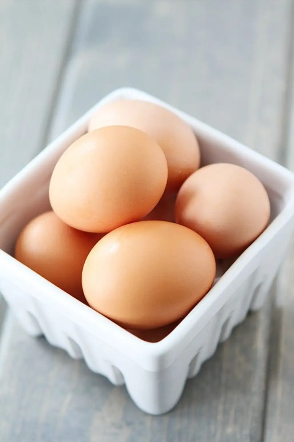 food,egg,egg,animal source foods,