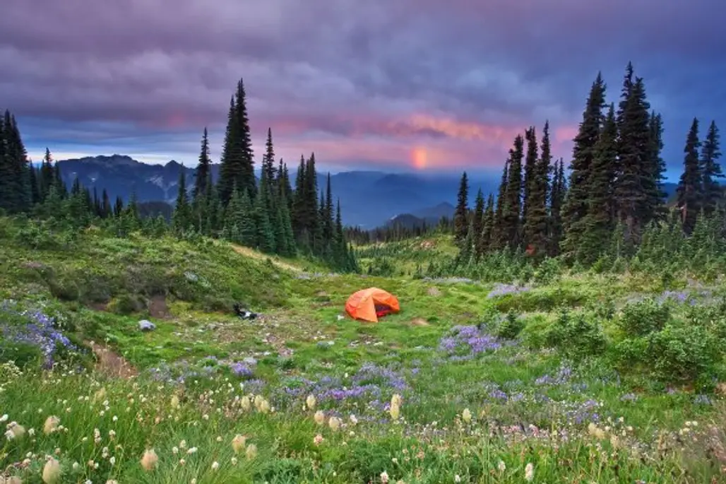Don't Have a Melt-down at Mount Rainier National Park, Washington