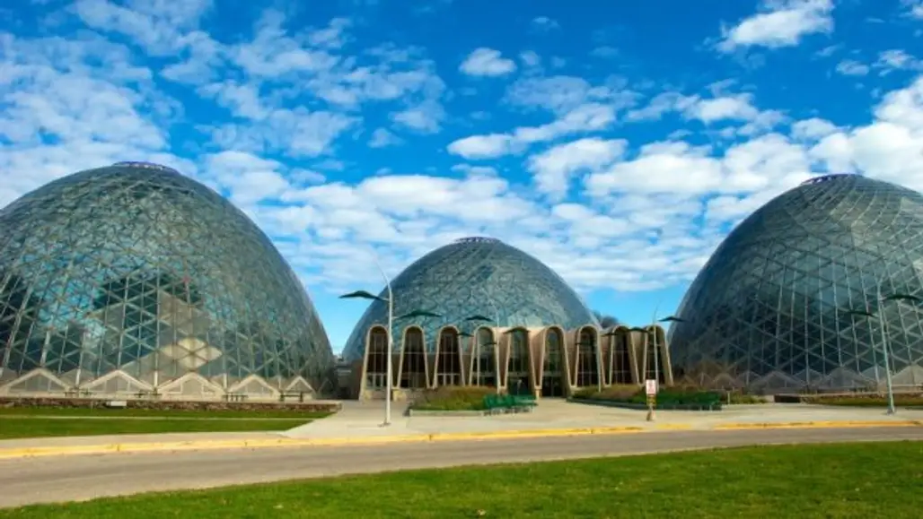 Visit the Domes at Mitchell Park Horticultural Conservatory