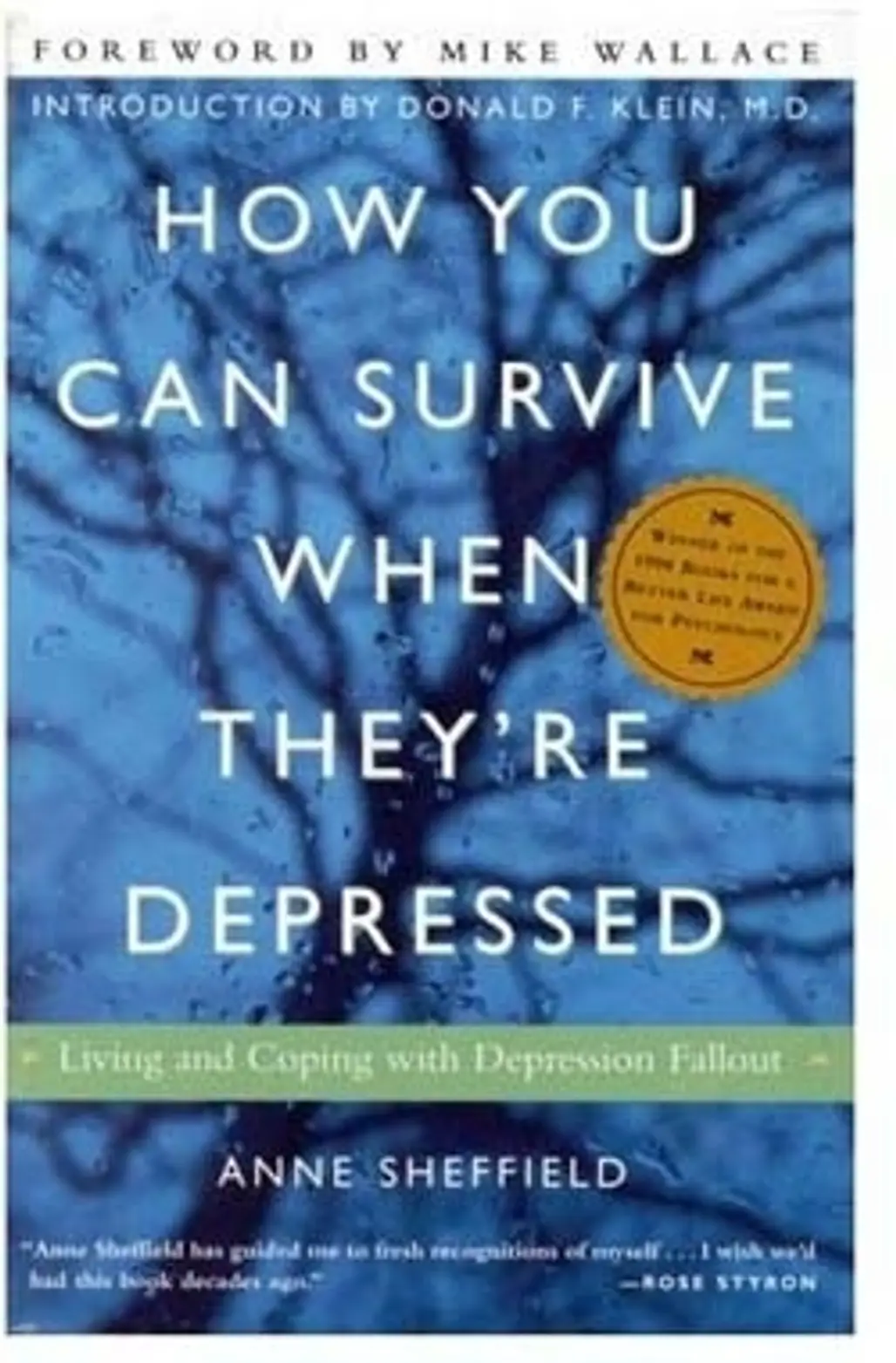 How You Can Survive when They’re Depressed by Anne Sheffield