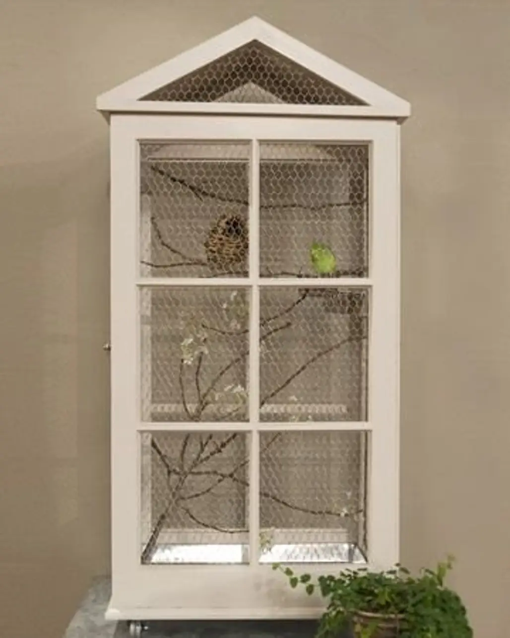 Window Frame Birdcage