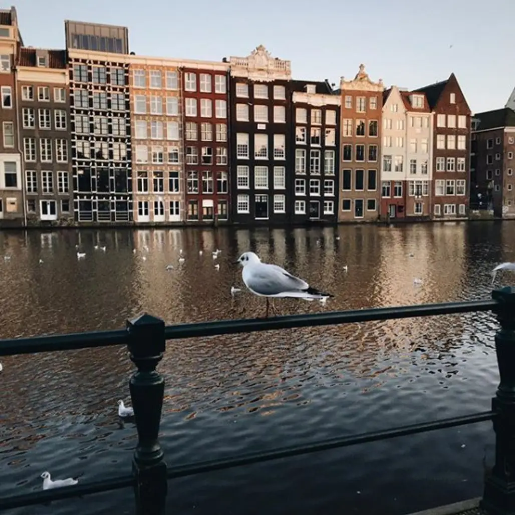 Amsterdam, reflection, water, urban area, city,