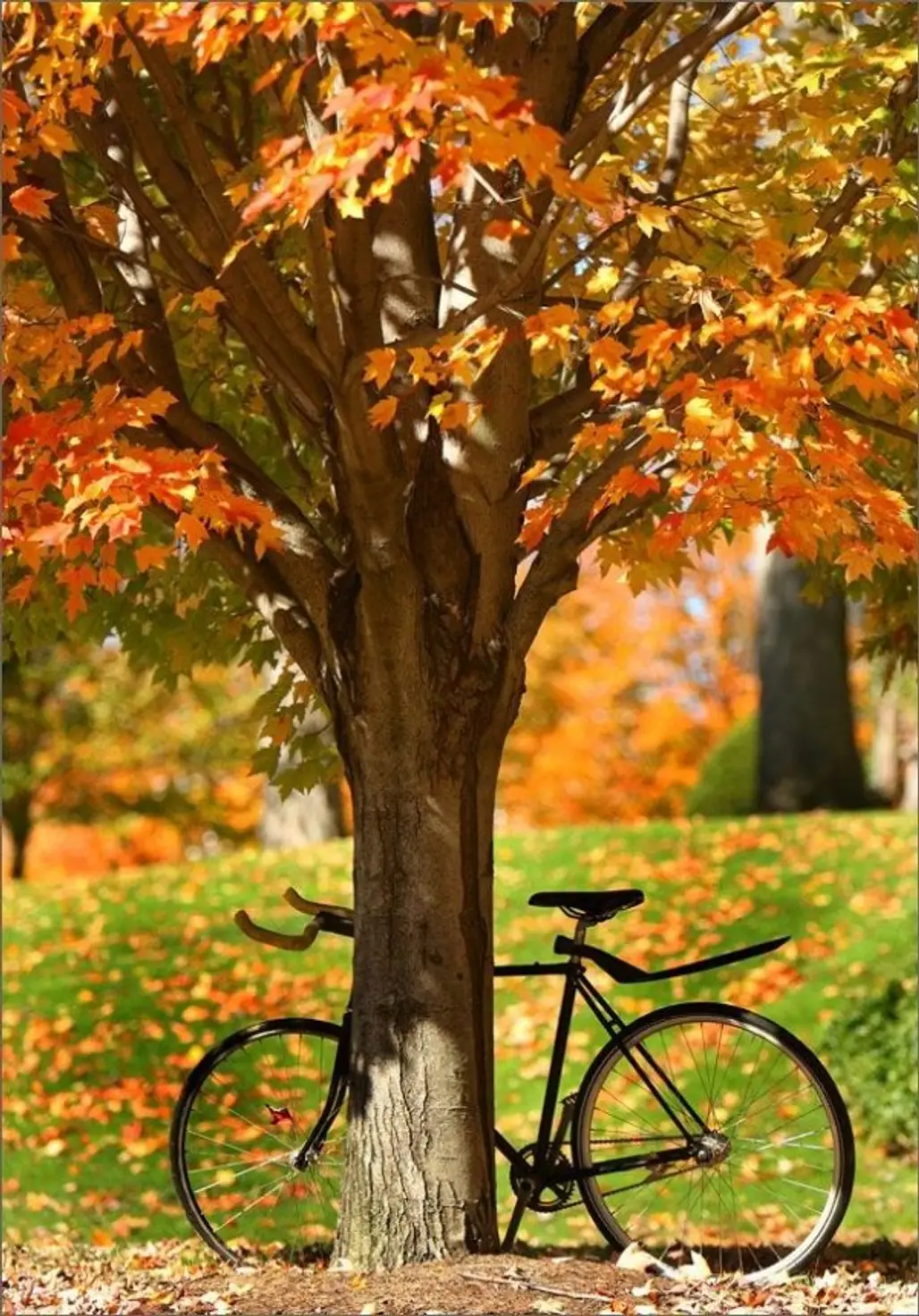 Fall Bike Ride
