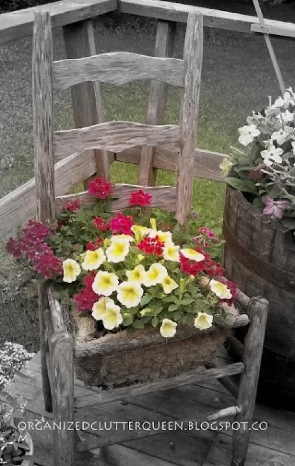 man made object,flower,flower arranging,floristry,plant,