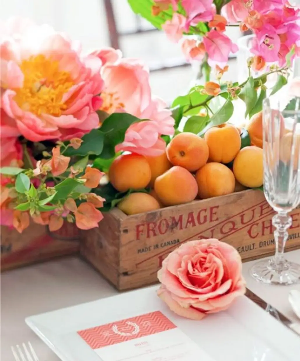 Peonies & Little Apricots