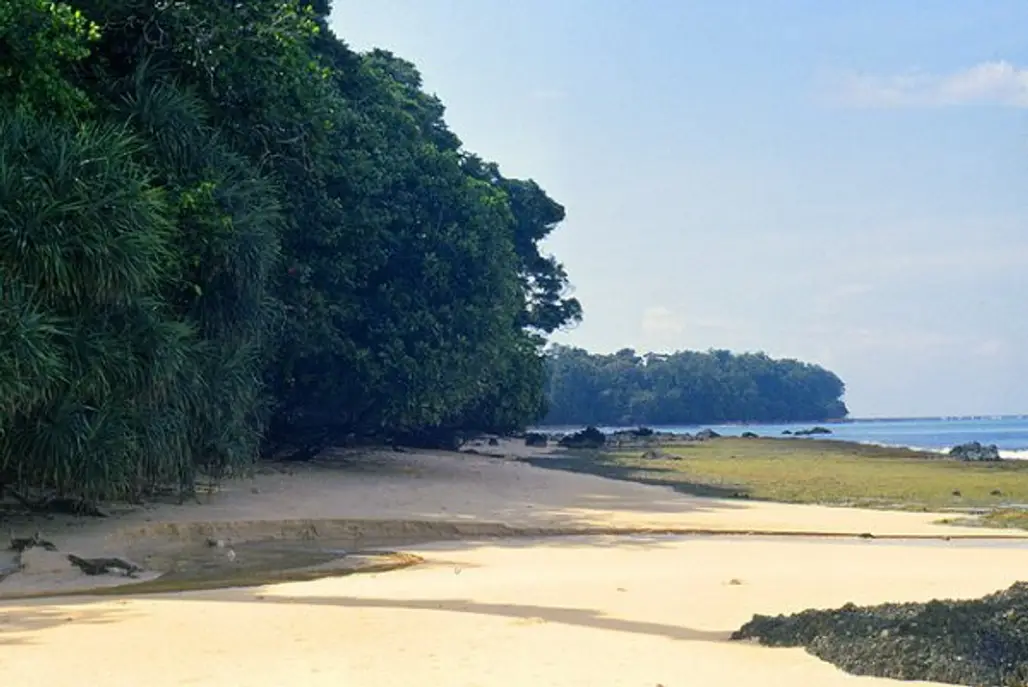 Be Robinson Crusoe at Rutland Island in Andaman