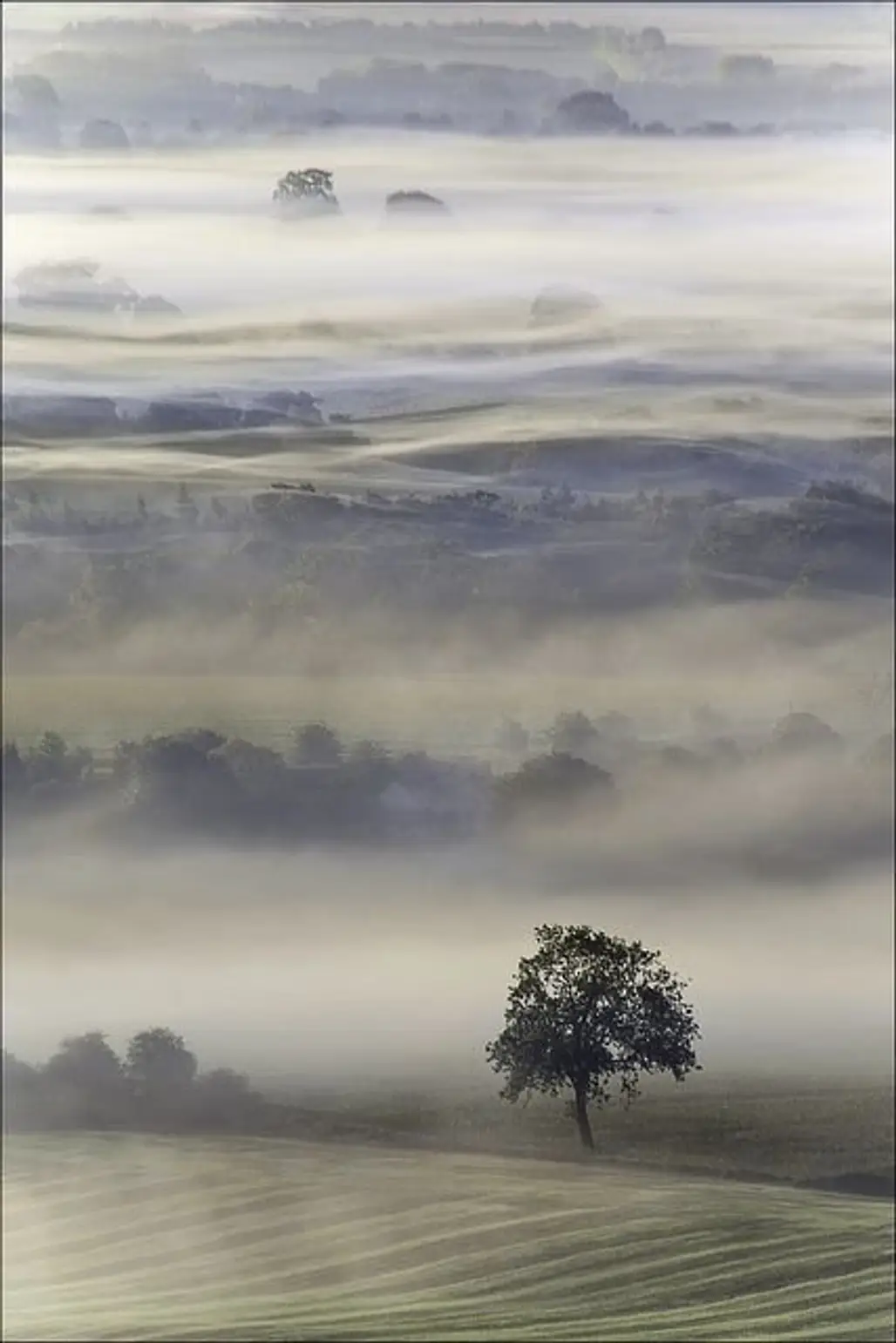 Dawn at the Vale of Pewsey, England