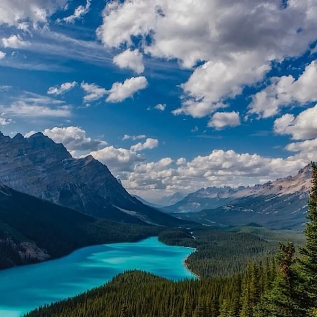 Canada Lake,Canadian Rockies,Peyto Lake,highland,mountainous landforms,