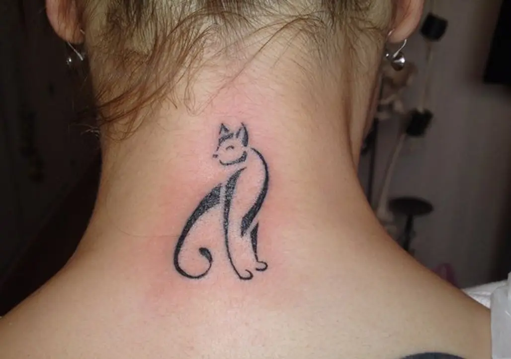 Cat on Your Neck