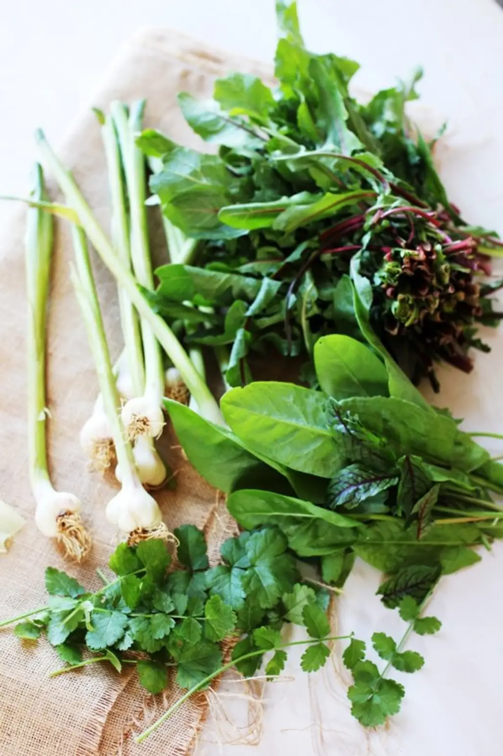 Wild Greens and Herbs