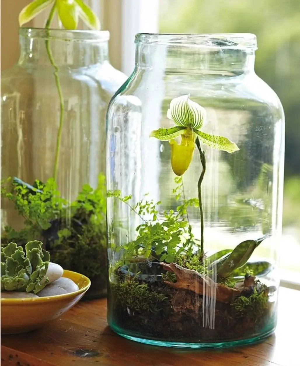 Garden in a Jar…