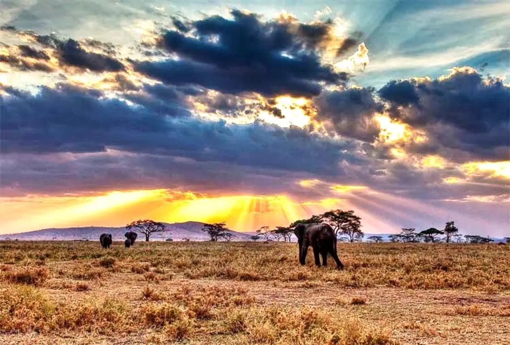 The Serengeti, Tanzania