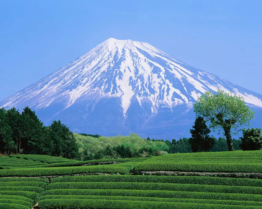 Highest Mountain in Japan