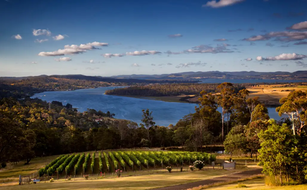 Lunch Time – Tamar Valley Wine Route