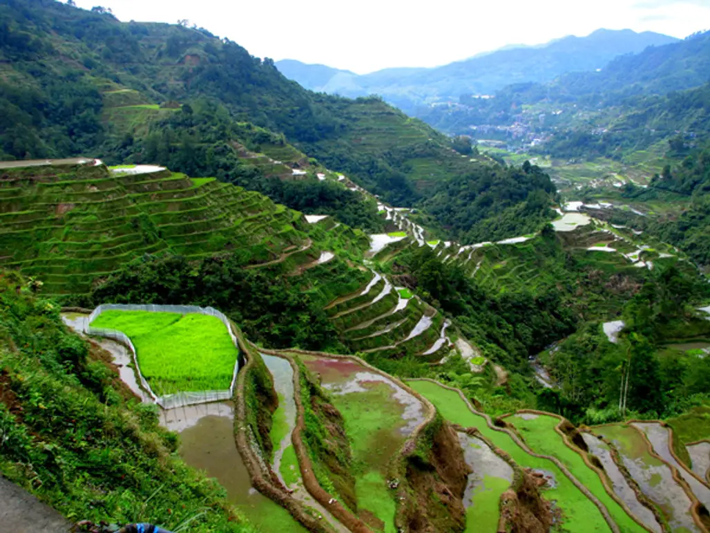 Banaue Rice Terraces, the Philippines