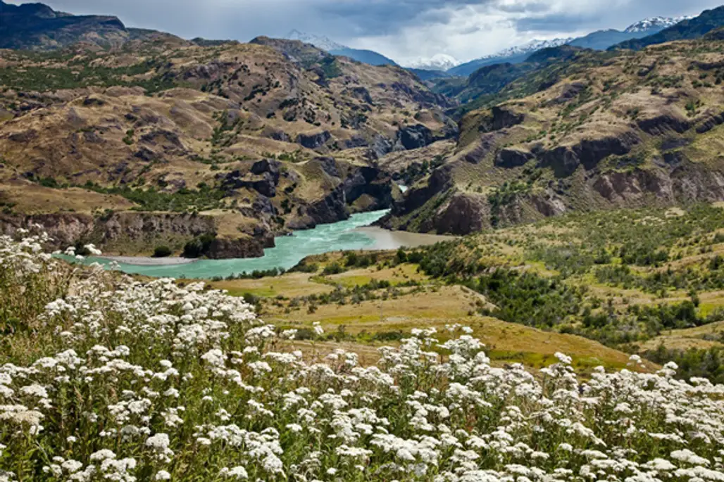 Trek Patagonia Forests
