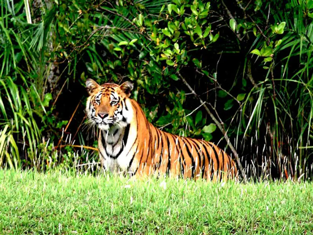 8 Little Known but Magnificent Sights of Bangladesh ...