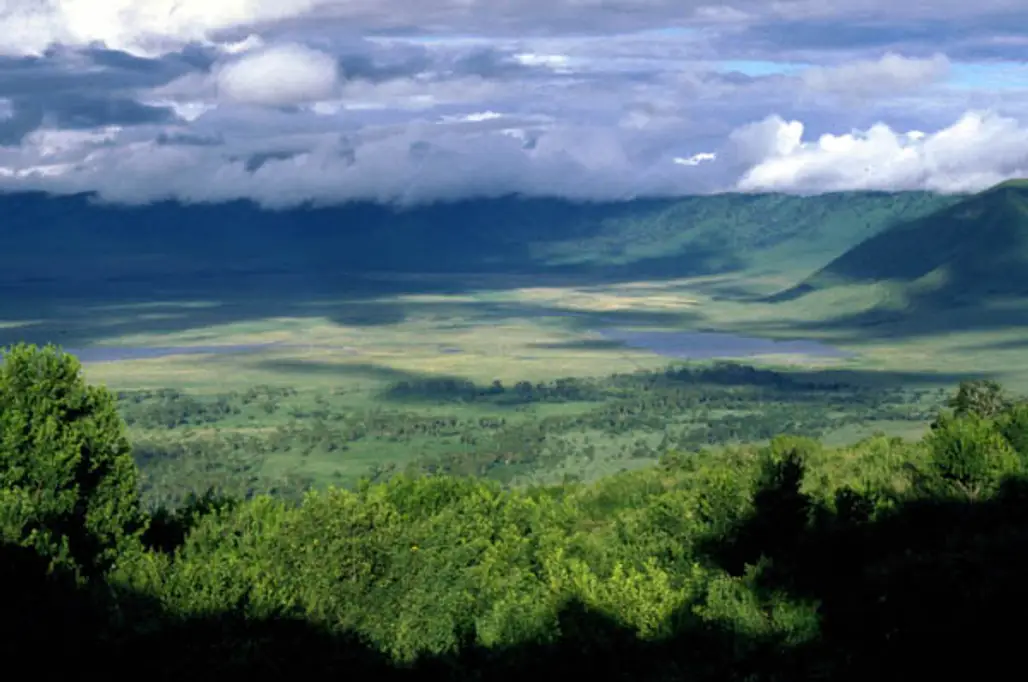 Trek Ngorongoro Crater