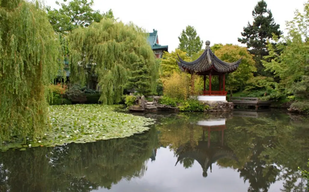 Relax in Dr. Sun Yat-Sen Classical Chinese Garden