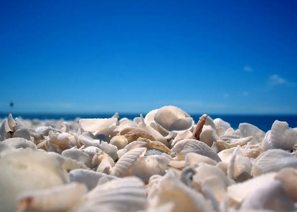 Shell Beach, Western Australia
