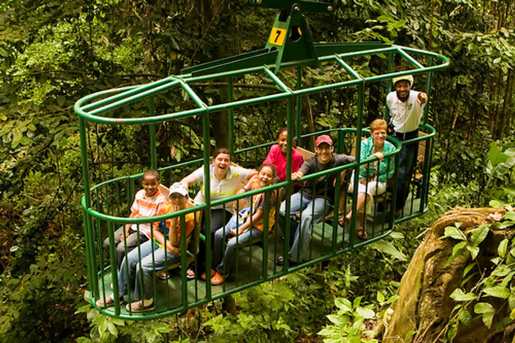 Ride the Rainforest Aerial Tram