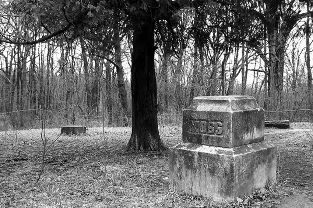 Bachelor’s Grove Cemetery – Midlothian, Illinois
