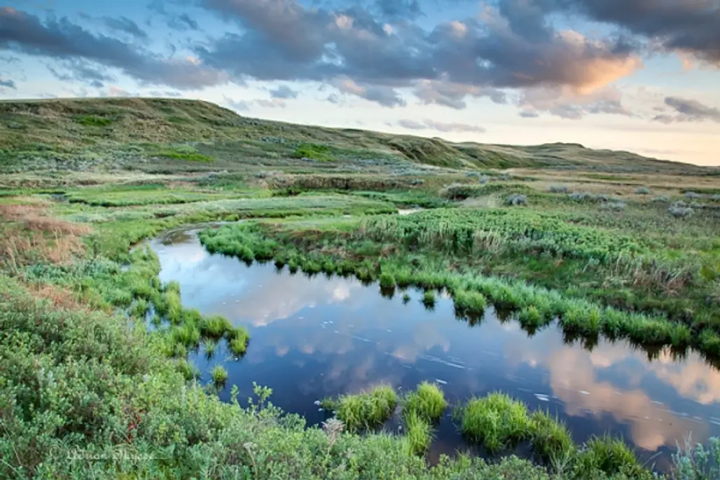 Perfect for Photography –Grasslands National Park