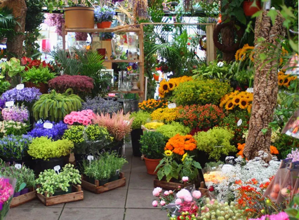 Visit the Flower Market
