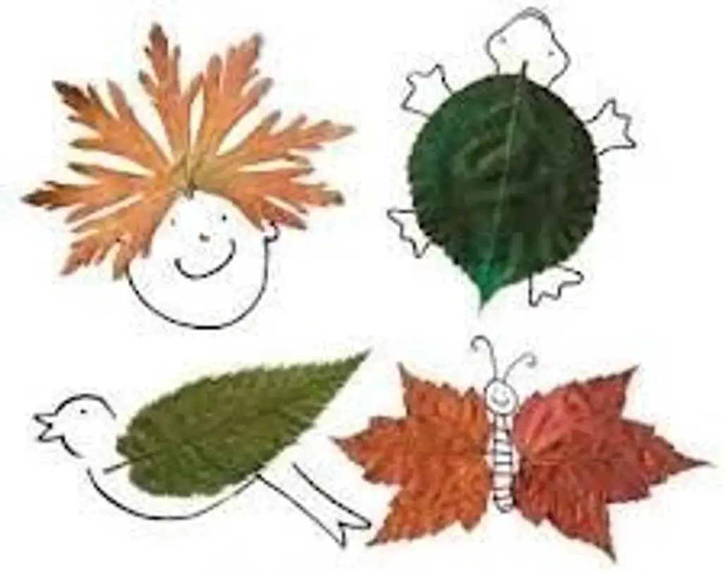 Leaf Characters
