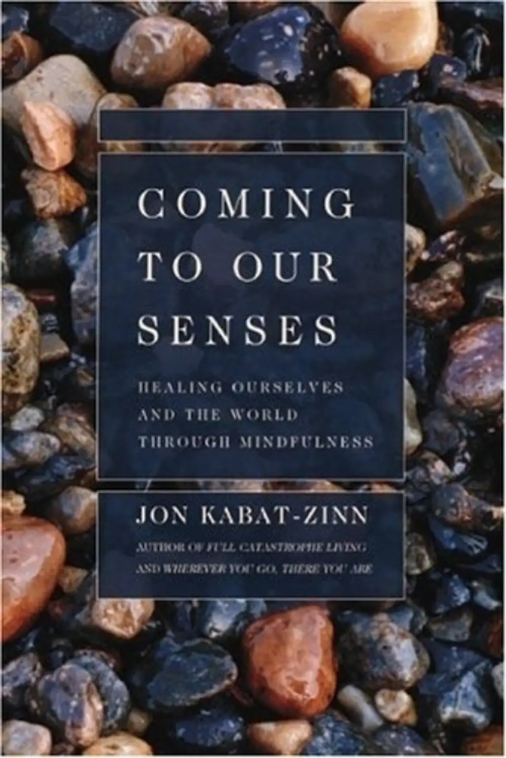 Coming to Our Senses: Healing Ourselves and the World through Mindfulness by Jon Kabat-Zinn