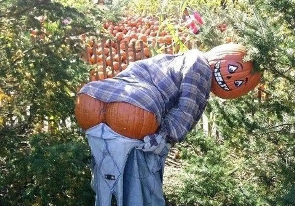 Humorous Scarecrow