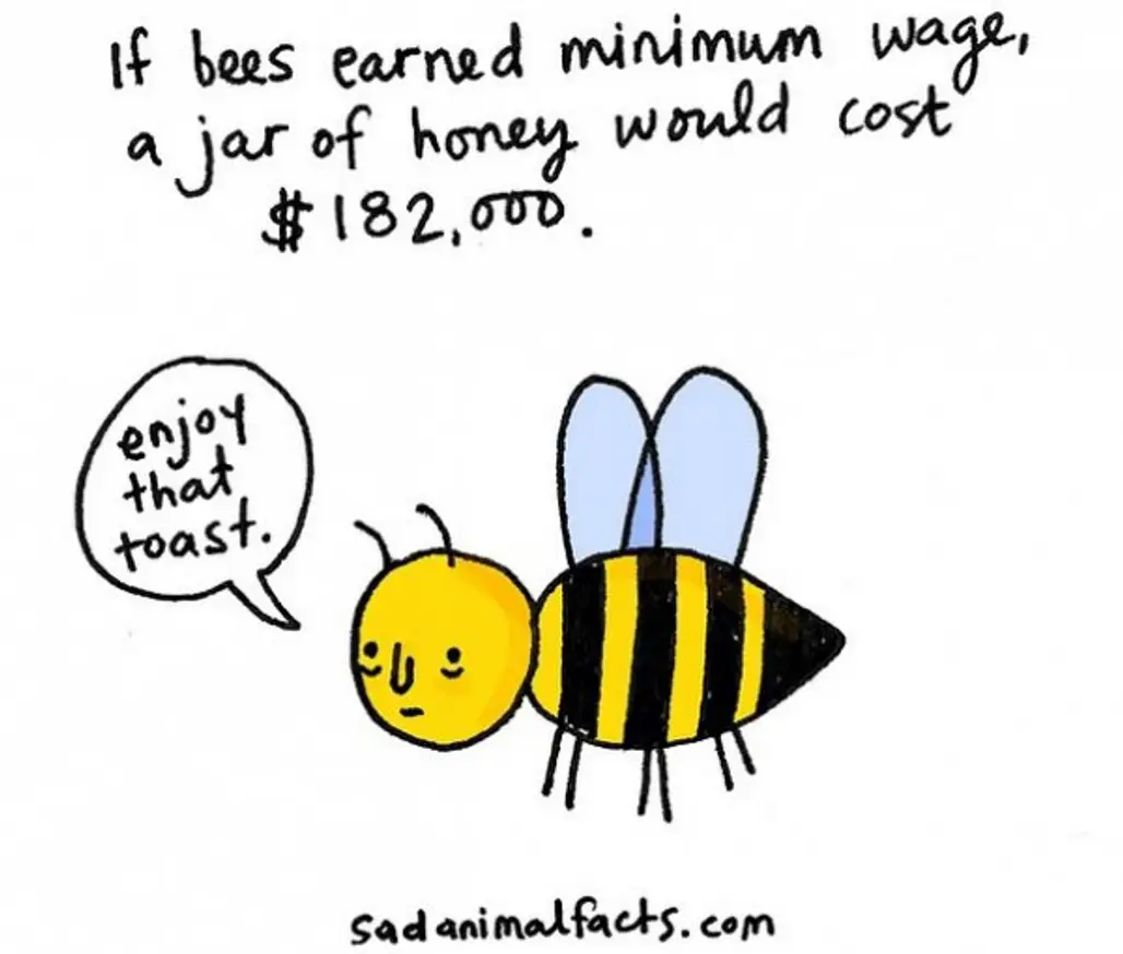 About Bees
