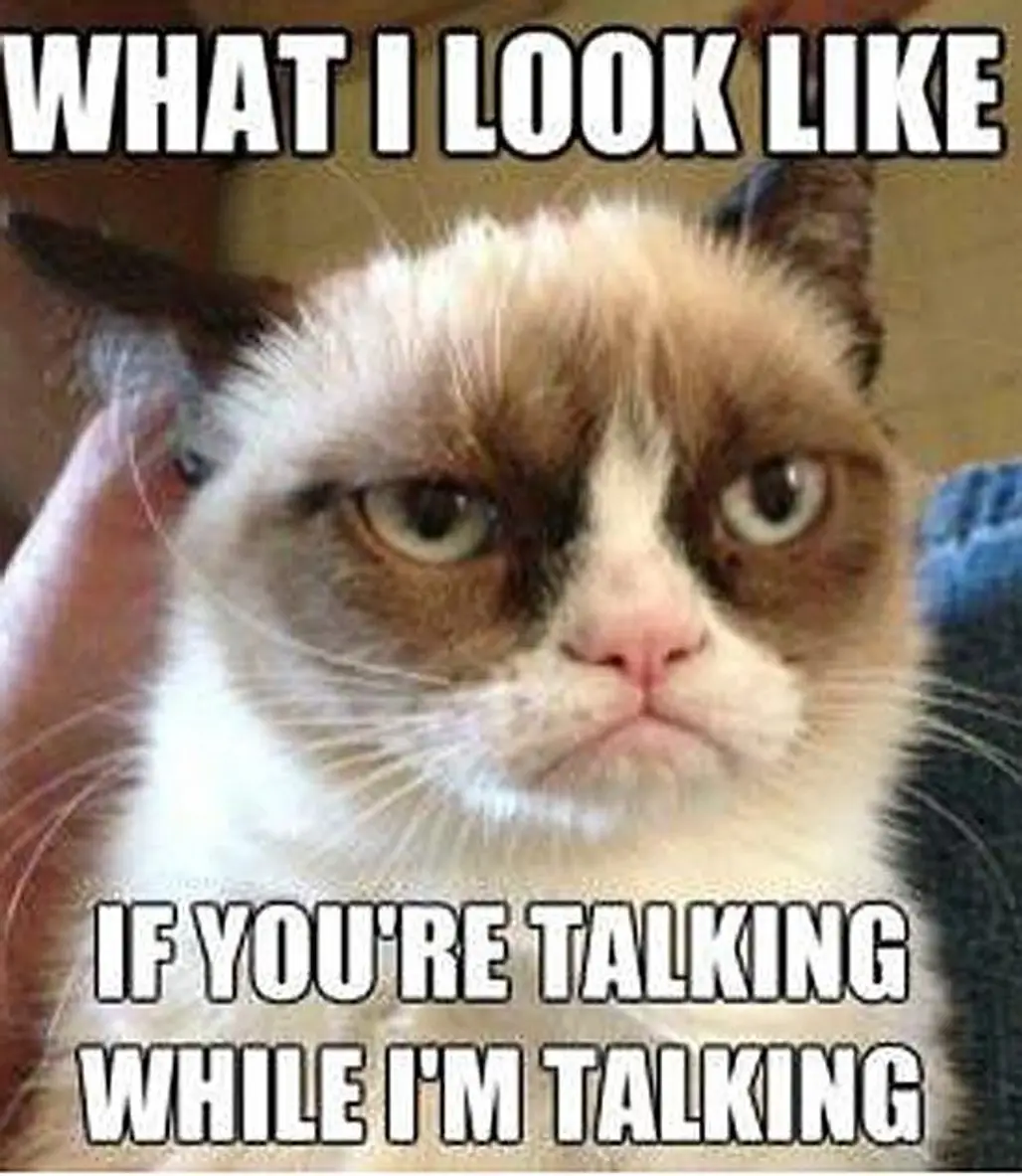 Don't Talk when I'm Talking ...