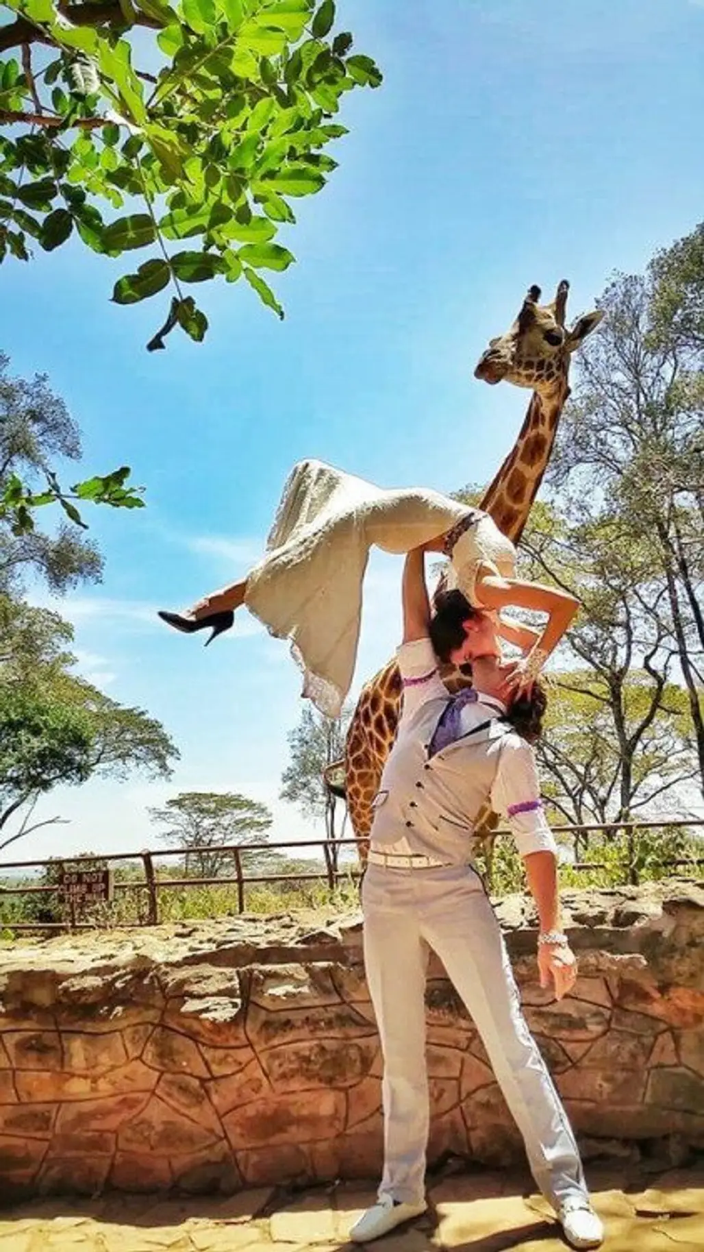 A Long-necked Witness at the Giraffe Center in Nairobi, Kenya