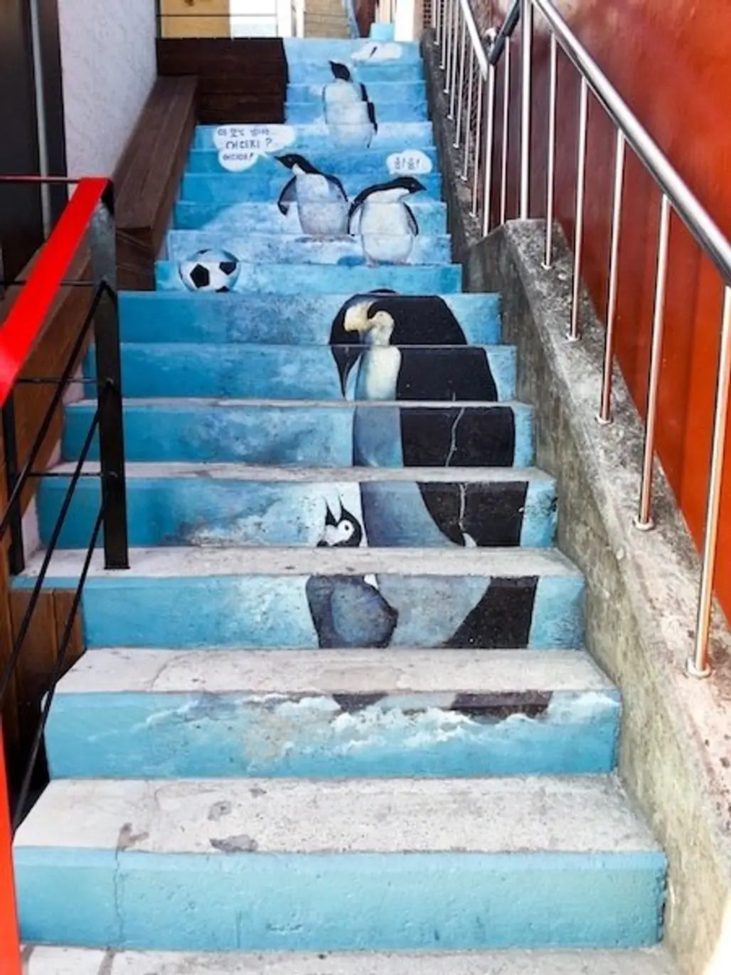 Penguins, Busan, South Korea