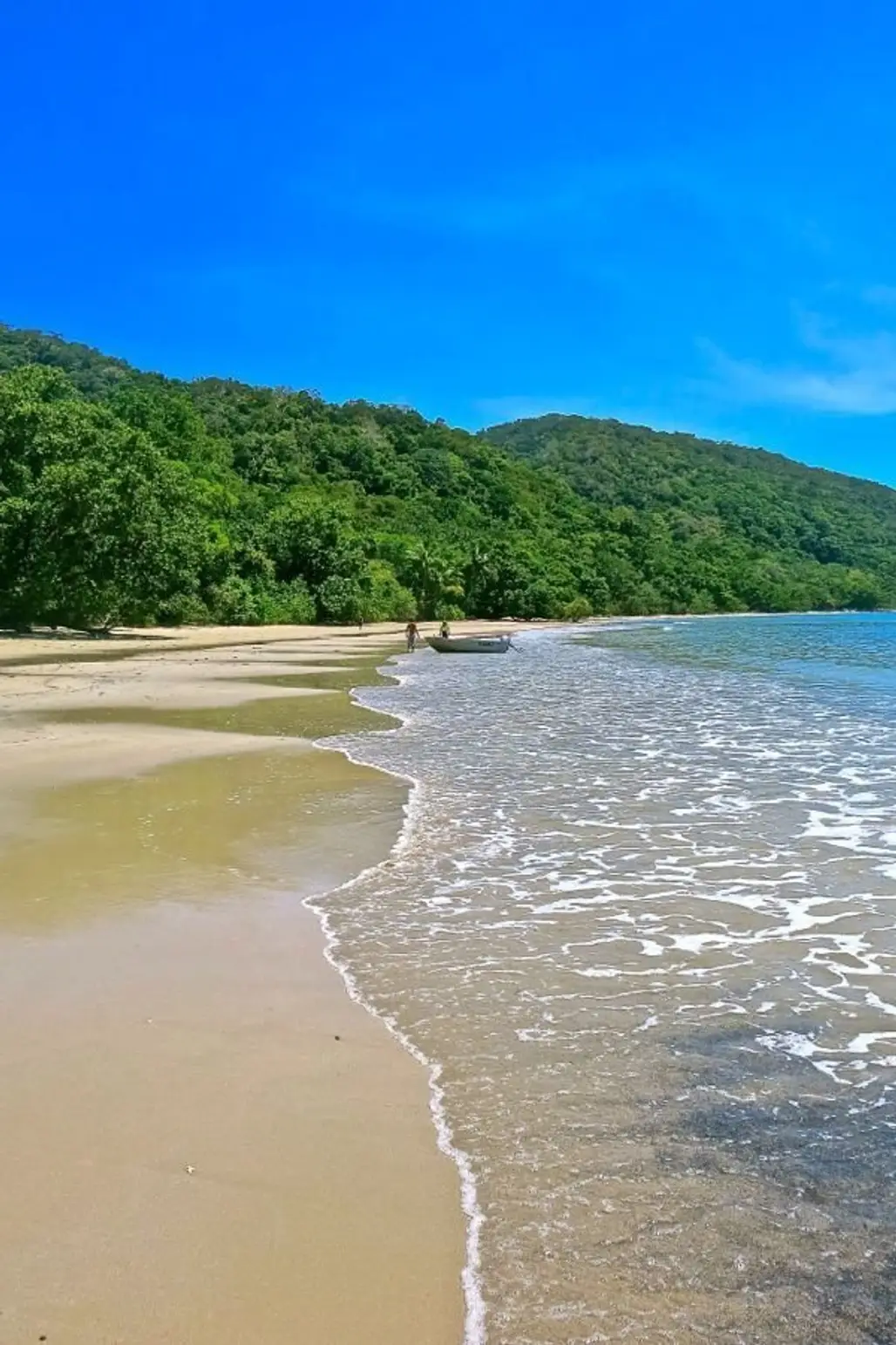 Cape Tribulation and the Daintree Rainforest, Queensland