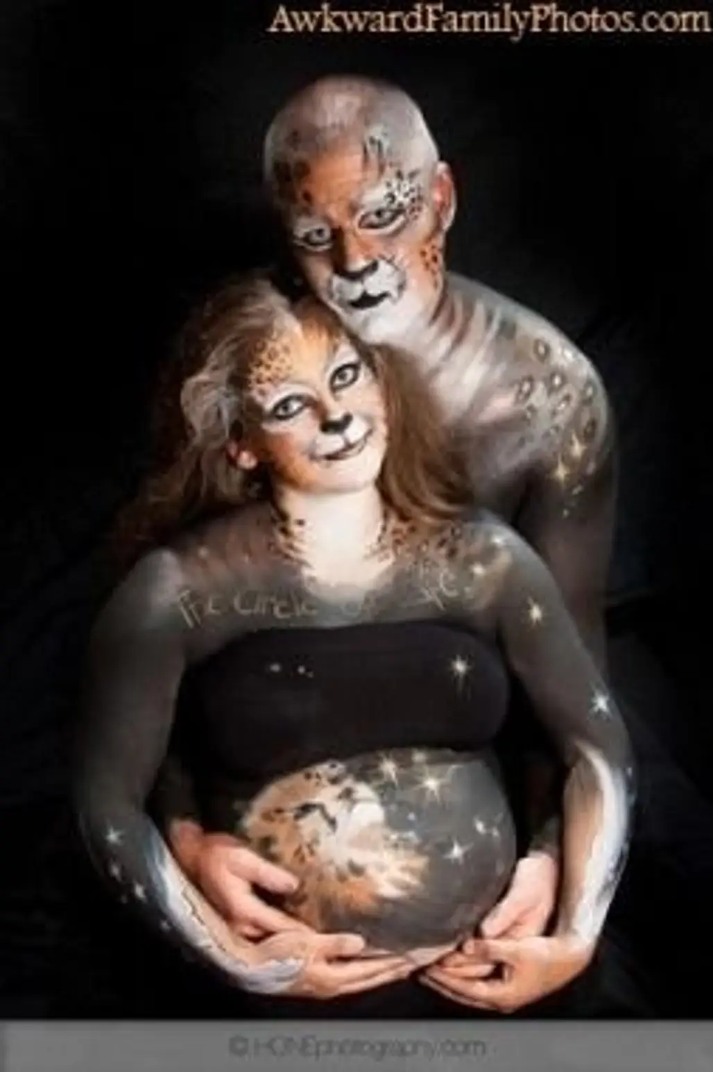 Kitty Pregnancy?