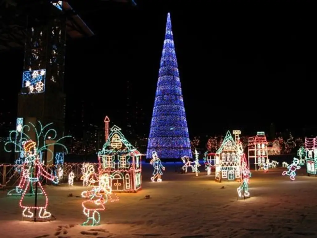 christmas lights, christmas decoration, night, christmas, christmas tree,
