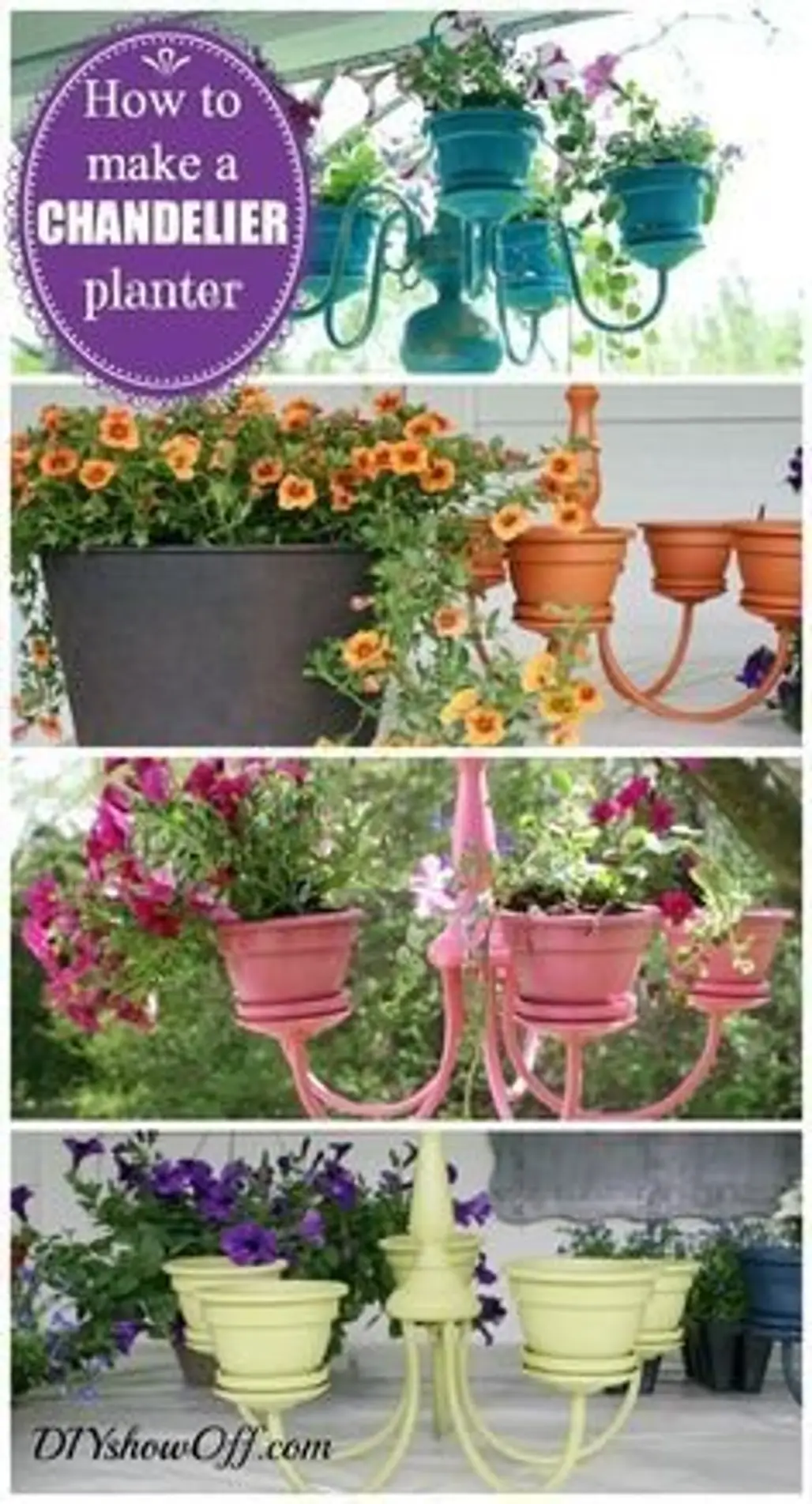 flower,flower arranging,floristry,floral design,How,