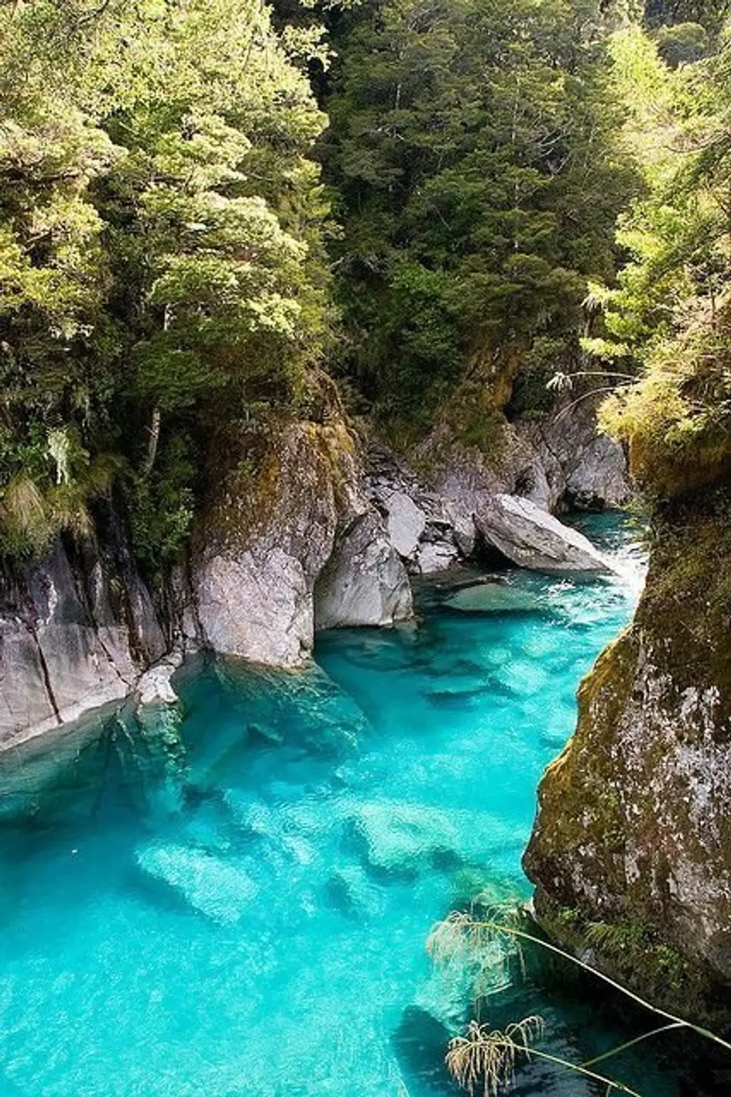 The Blue Pools, Queenstown