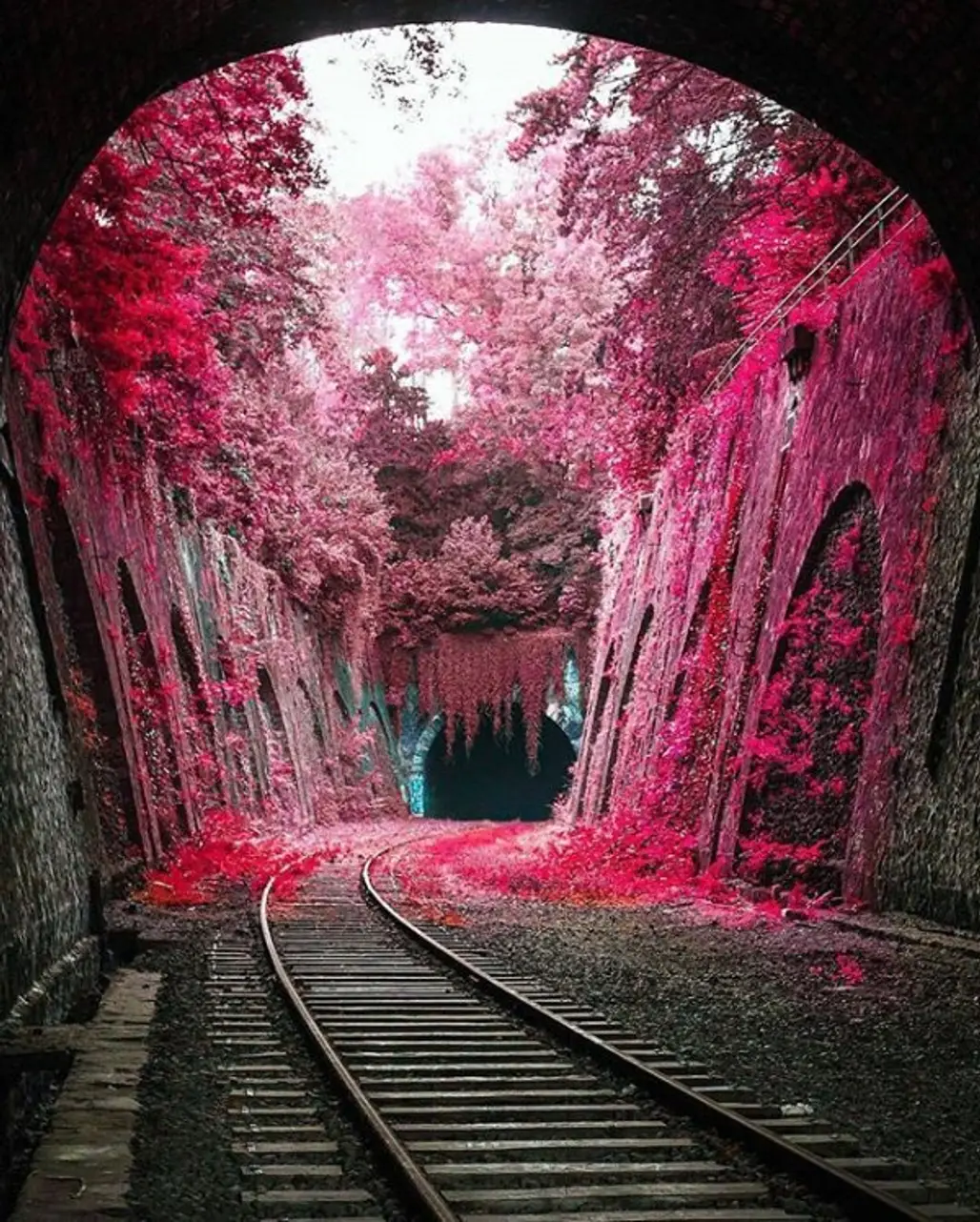 red, color, pink, transport, light,
