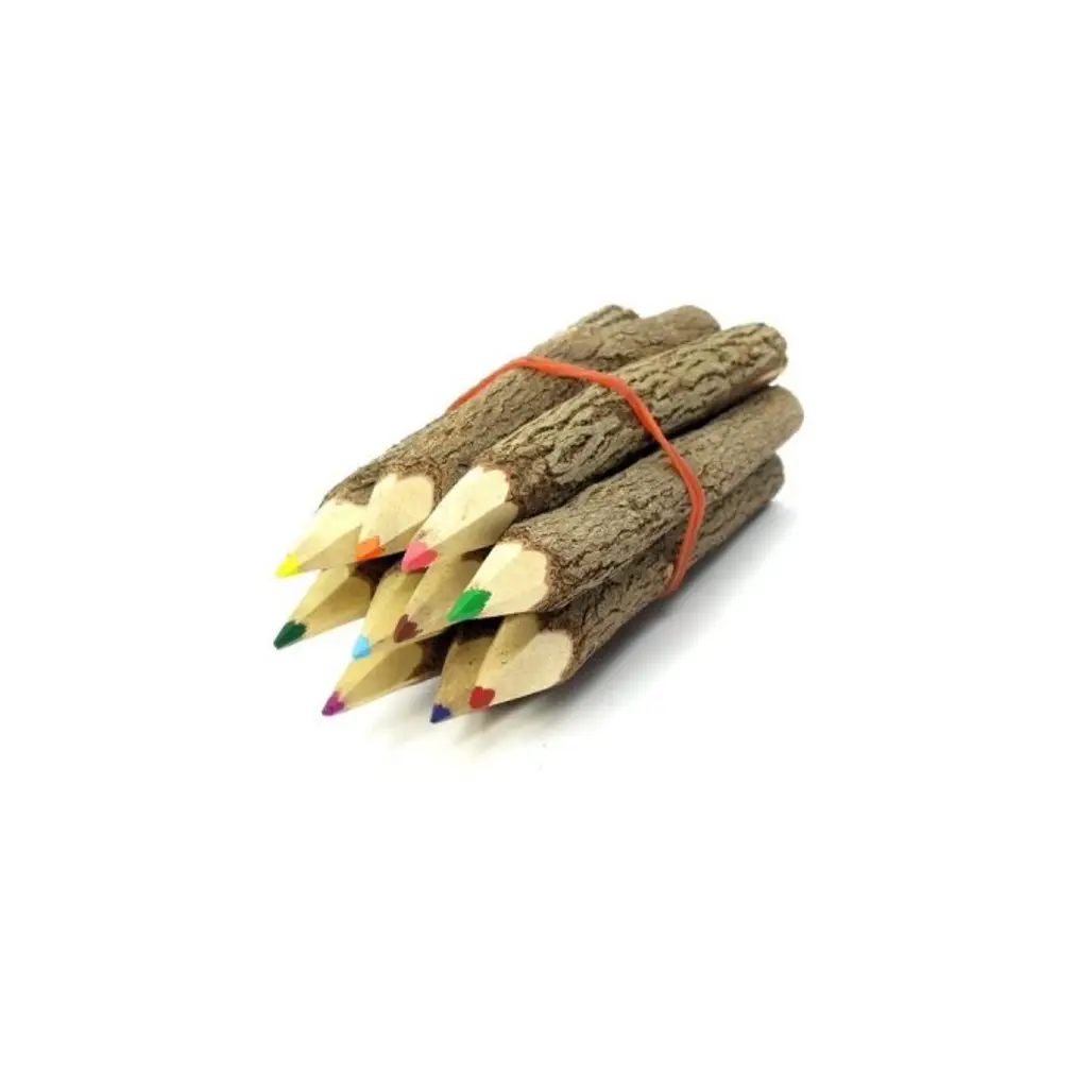 Branch & Twig Assorted Colored Pencils, 10-Pack