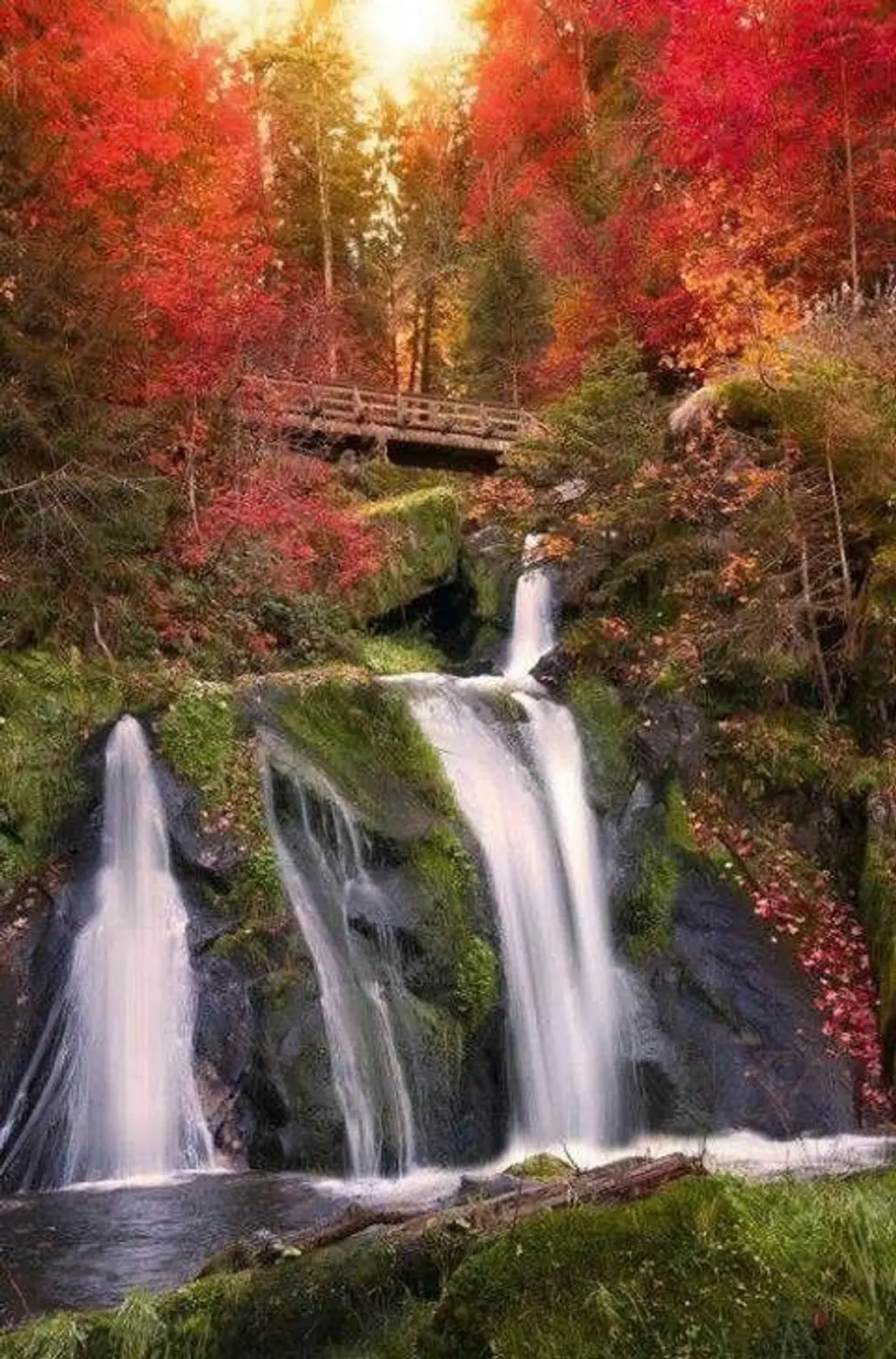 Triberg Falls, Germany