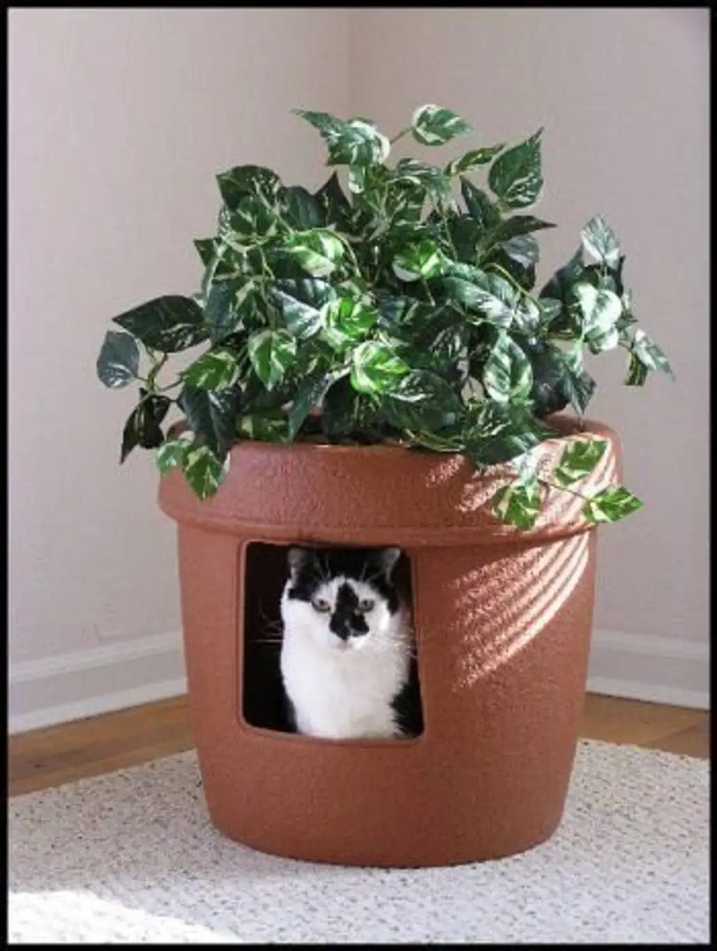 Disguise a Litter Box in a Plant