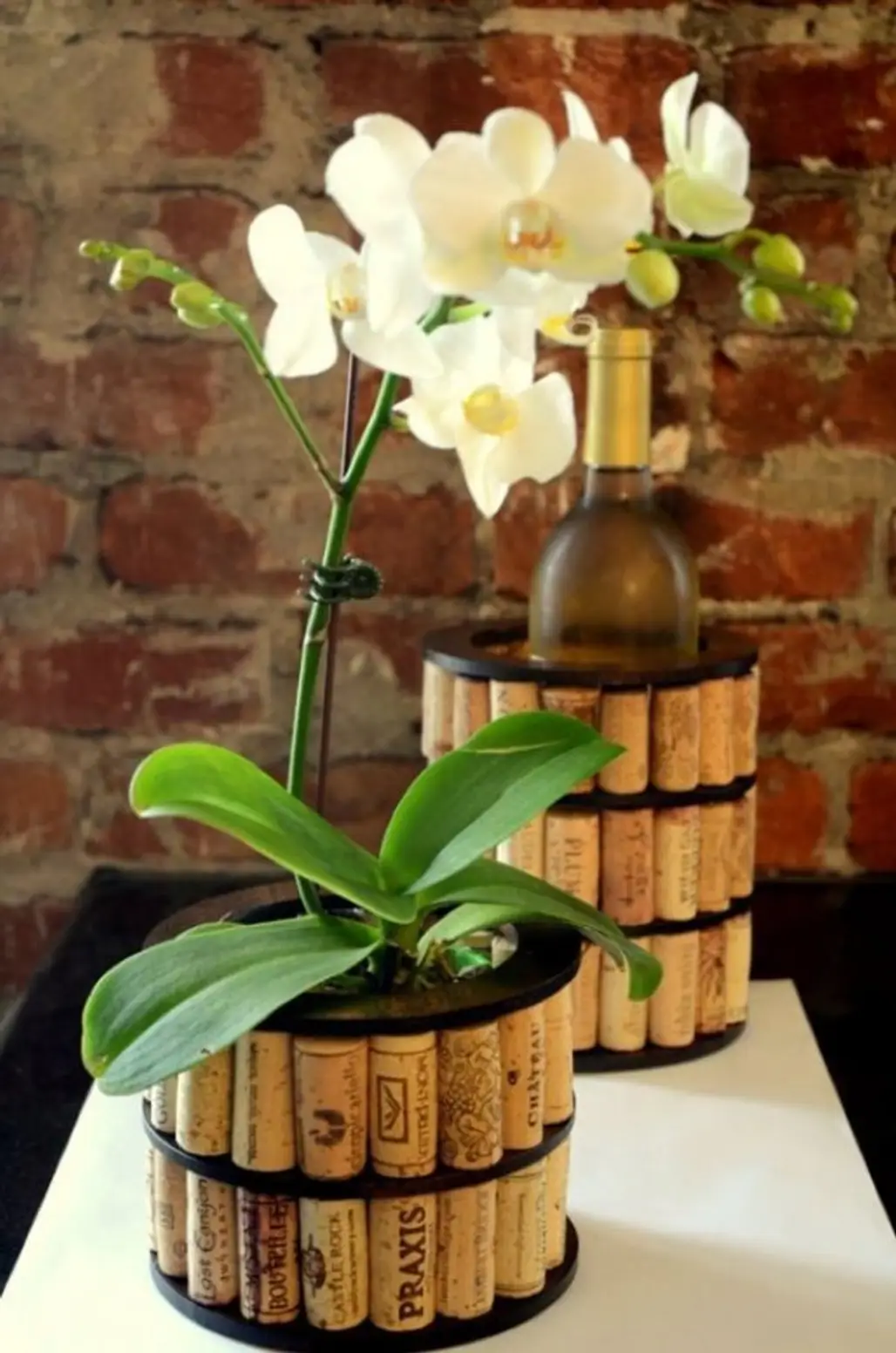 Cork Planter and Wine Cooler