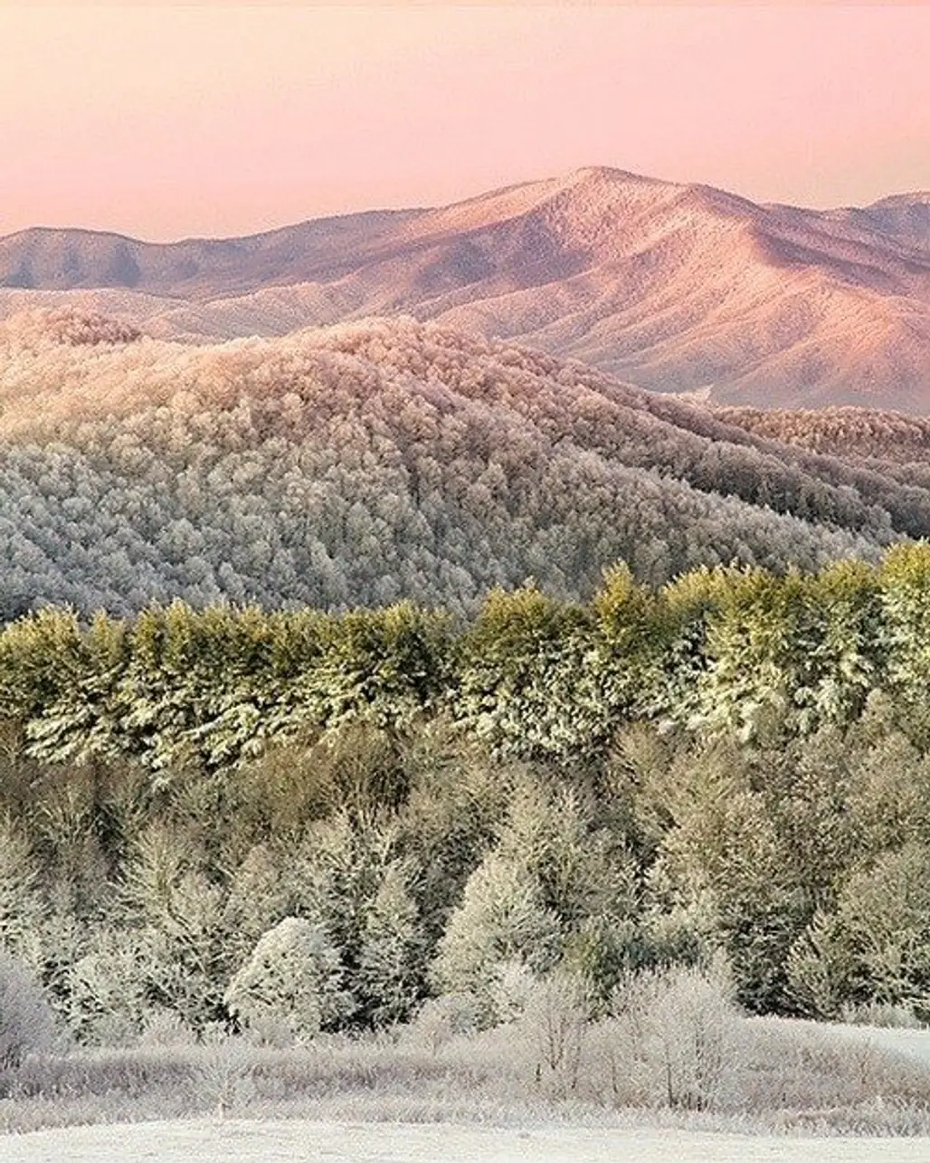 Max Patch Mountain, North Carolina