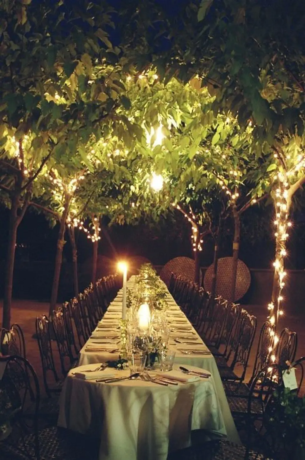 Outdoor Nature Reception