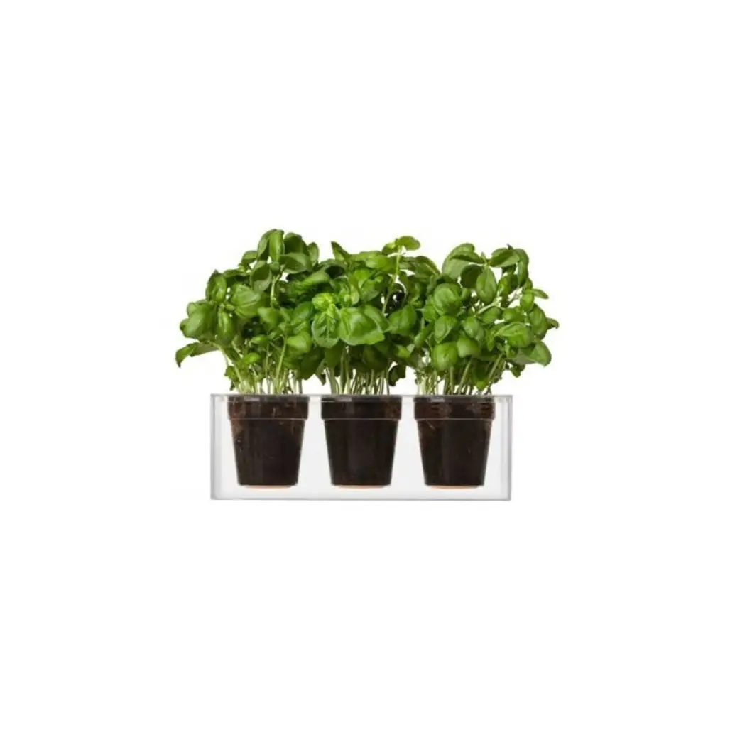 Boskke Cube 3 Small Planters, Clear