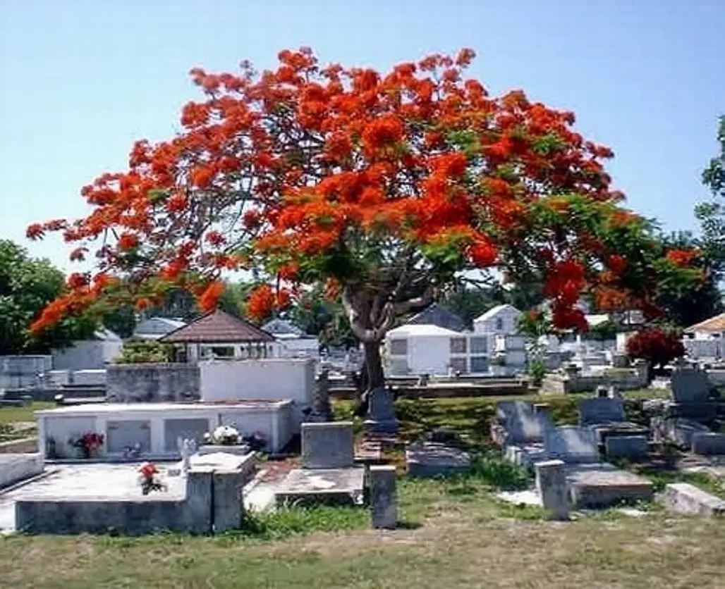 Key West City Cemetery