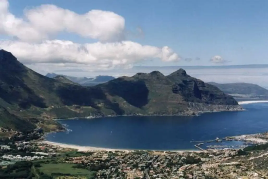 Go Whale Watching in Hout Bay
